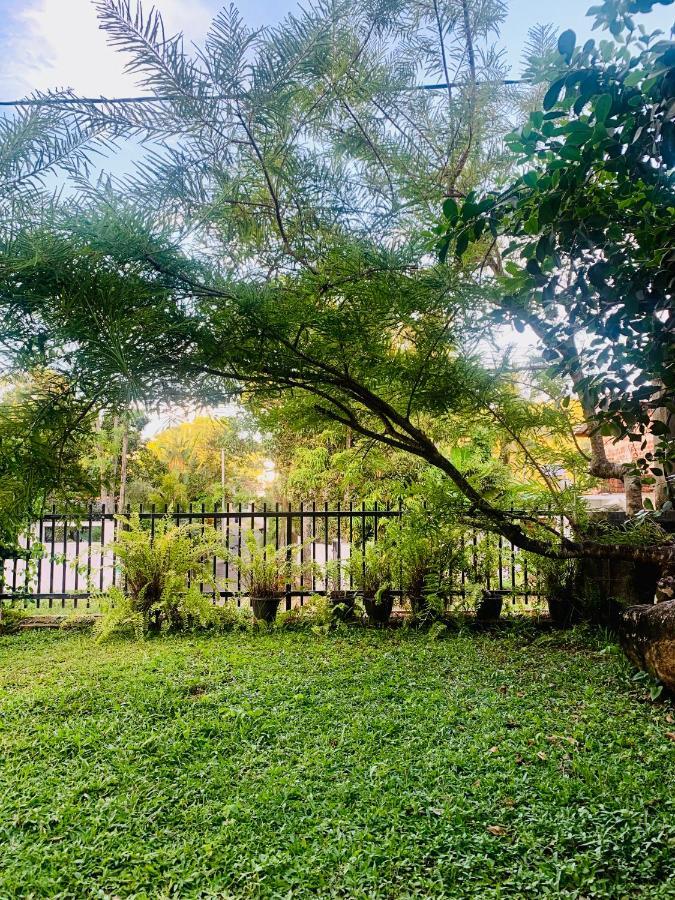 Jungle City Hostel Galle Luaran gambar