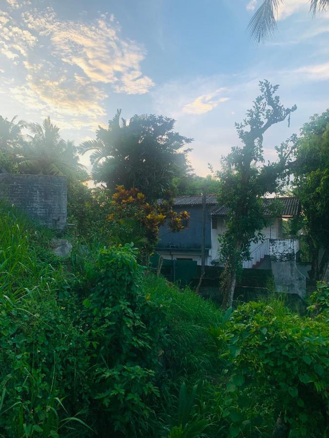 Jungle City Hostel Galle Luaran gambar